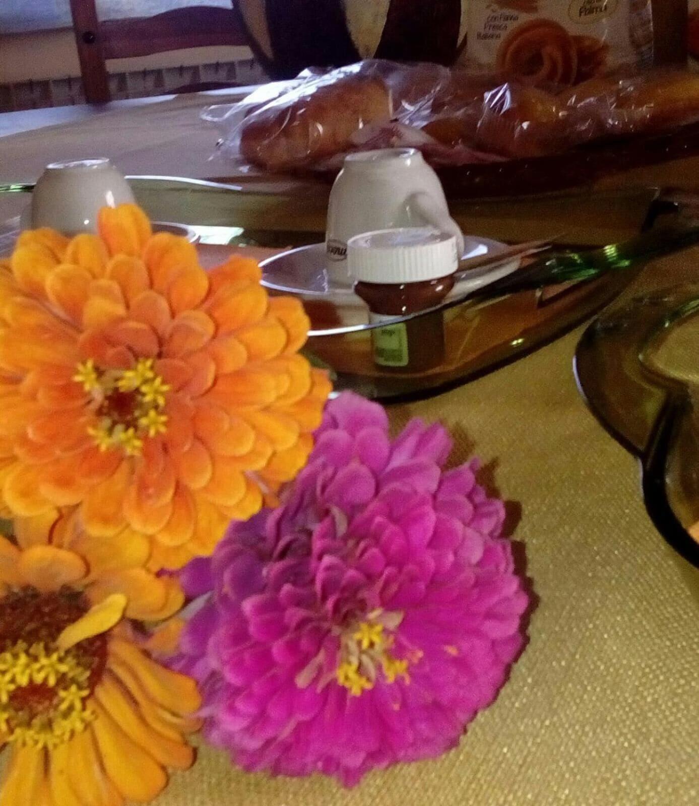 Restaurant Bed & Breakfast Anna