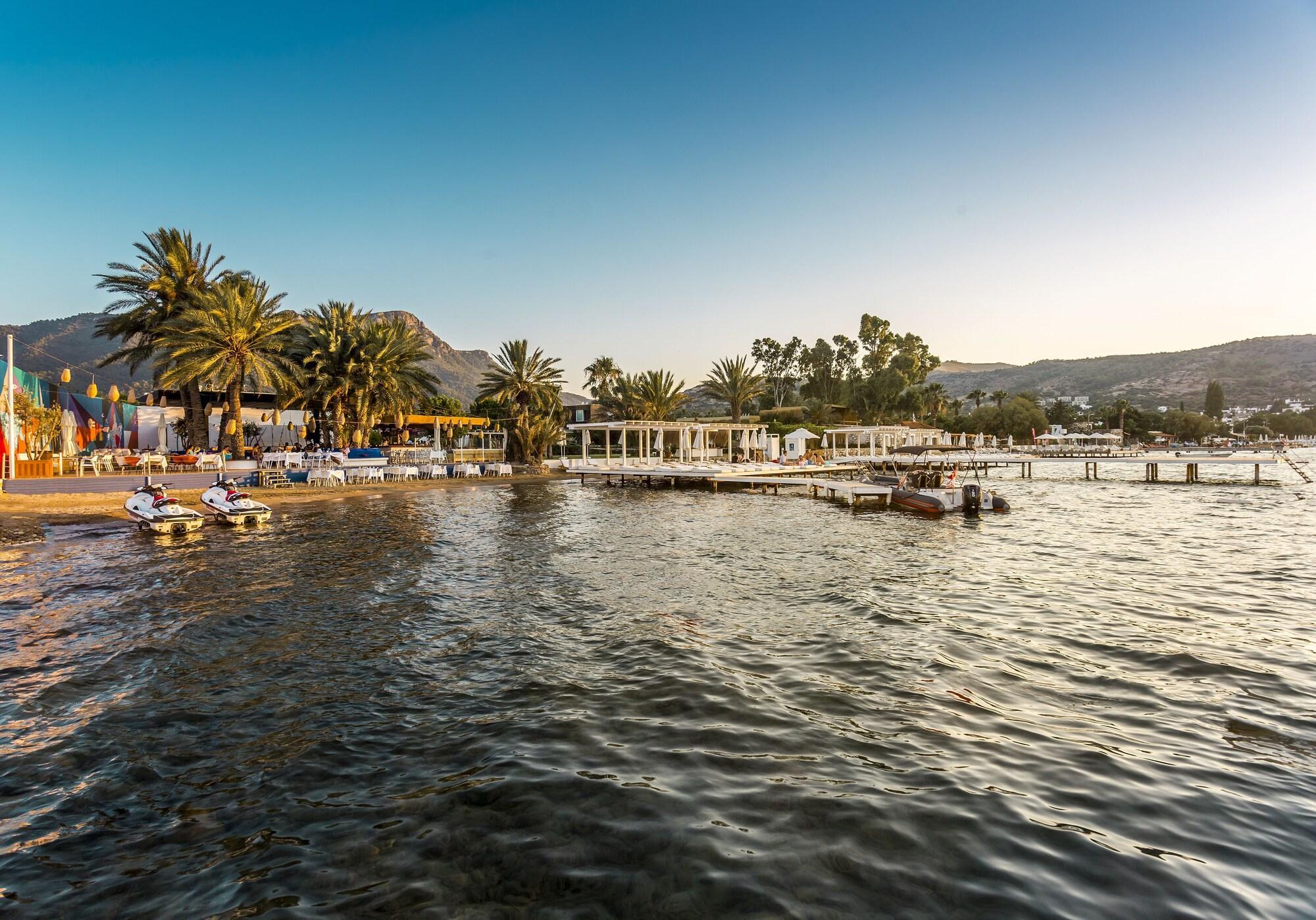 Playa Flamm