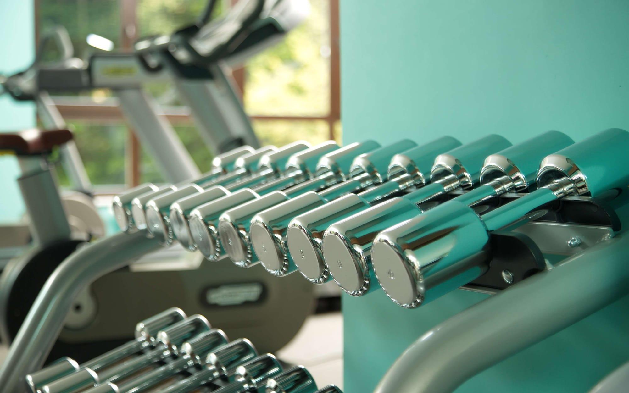 Gimnasio Radisson Blu Plaza Delhi Airport