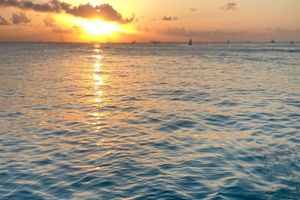 Actividad - Crucero en catamarán - Tour al amanecer