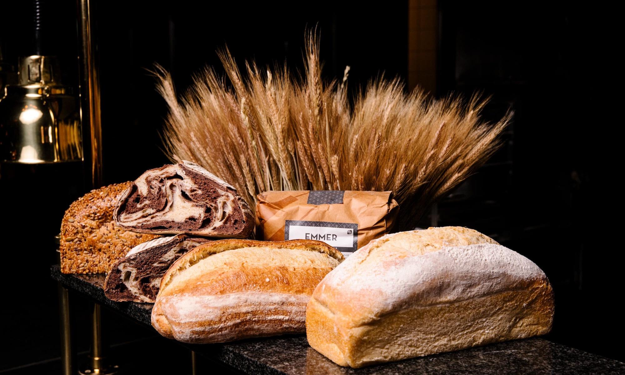 Vista Exterior Hotel Bristol