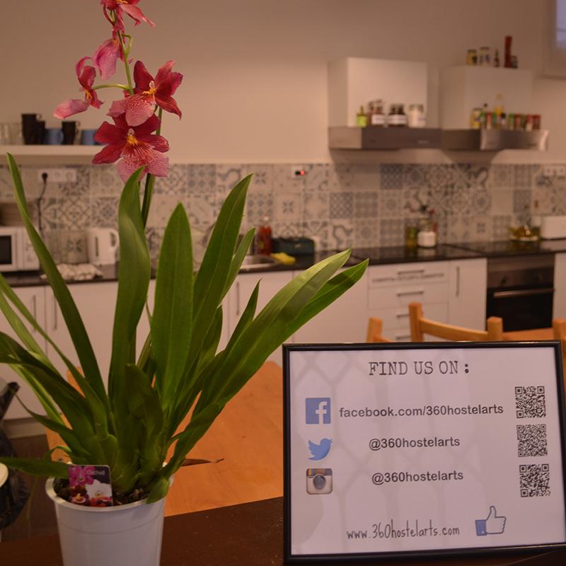 Instalaciones Recreativas 360 Hostel Borne