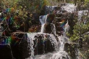 Passeio - Trilha pelas cachoeiras Águas do Cerrado