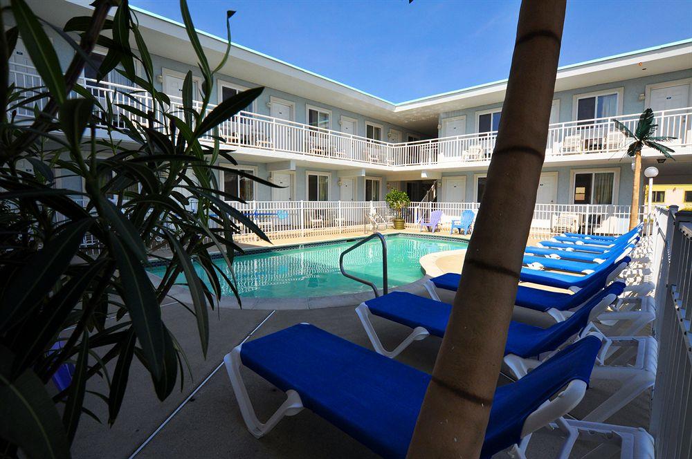 Vista Piscina Stardust Motel