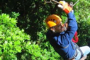 Activity - La Amistad National Park Zipline