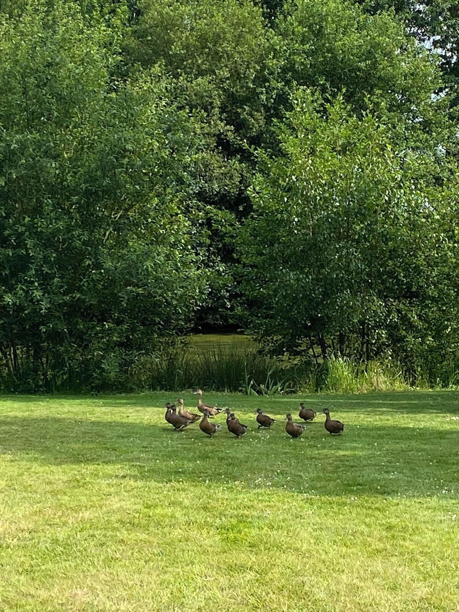 Varios Le Manoir de la Campagne