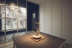 Alojamiento - TOKYU STAY Hida-Takayama Musubi no Yu