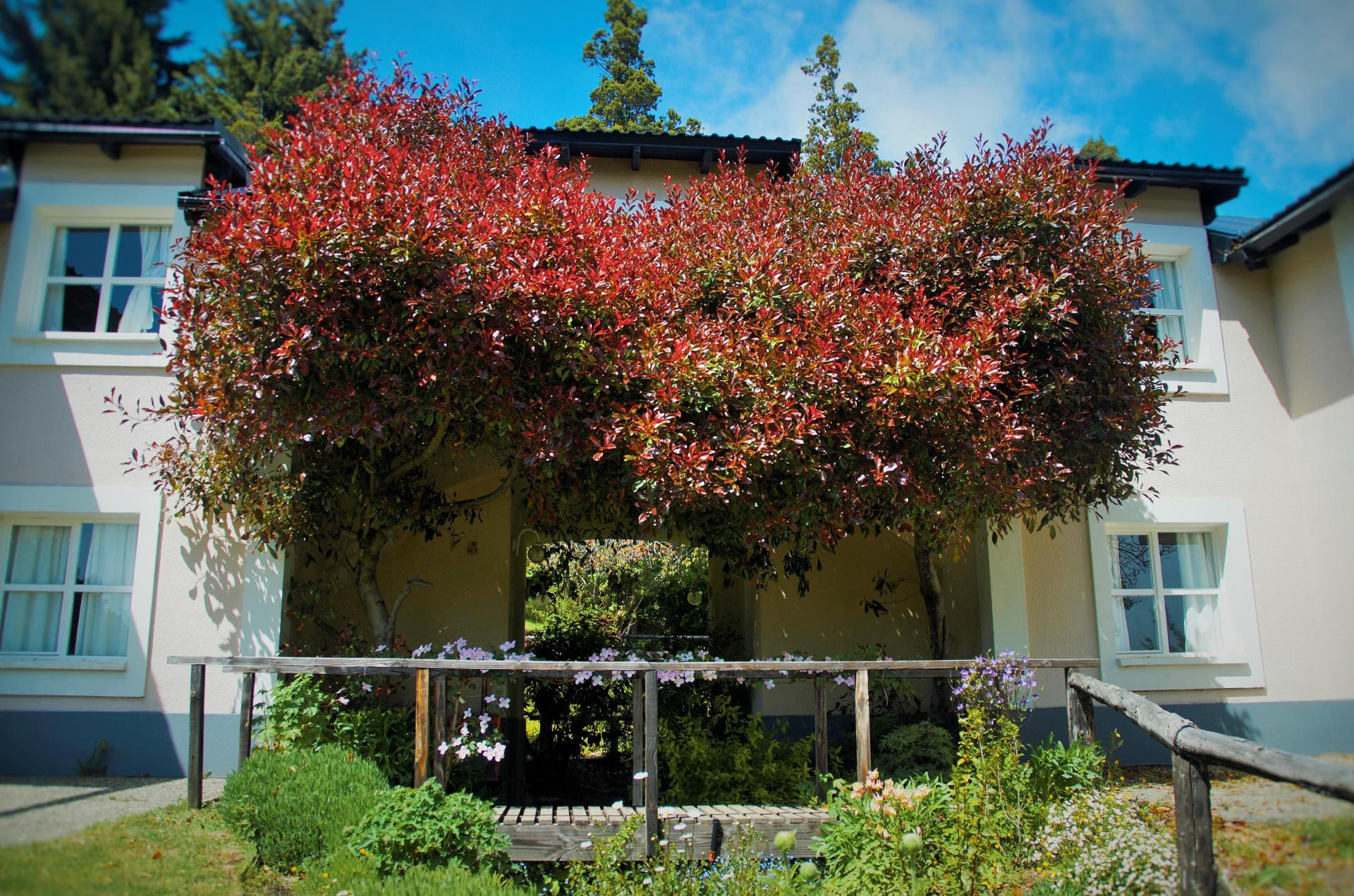 Vista Exterior Residencia Pioneros