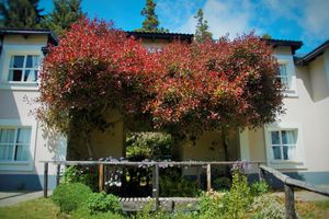 Alojamiento - Residencia Pioneros