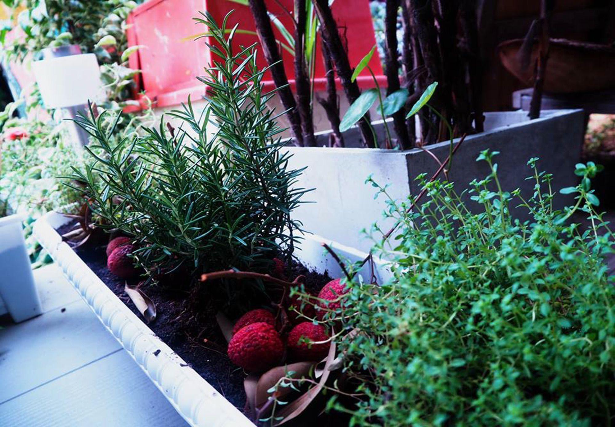 Comodidades del Alojamiento Egg Colony