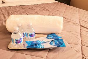 Hoteles en Las Vegas Centro