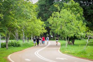 Actividad - City Tour por la naturaleza