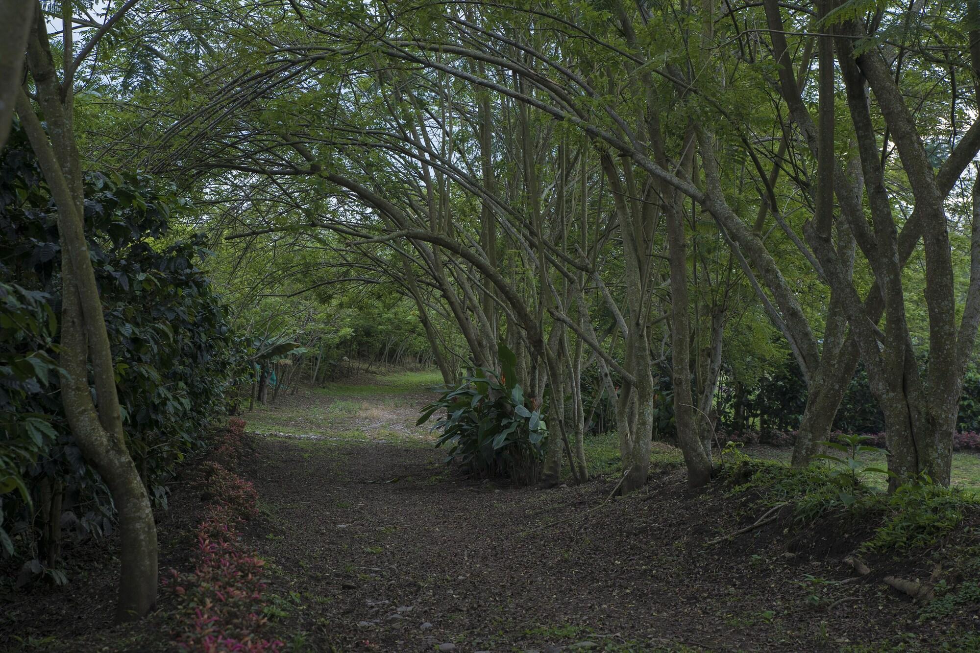 Comodidades del Alojamiento Finca Hotel Los Aperos