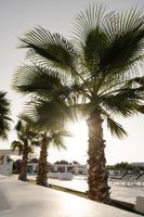 Alojamiento - White Dunes Luxury Boutique Hotel