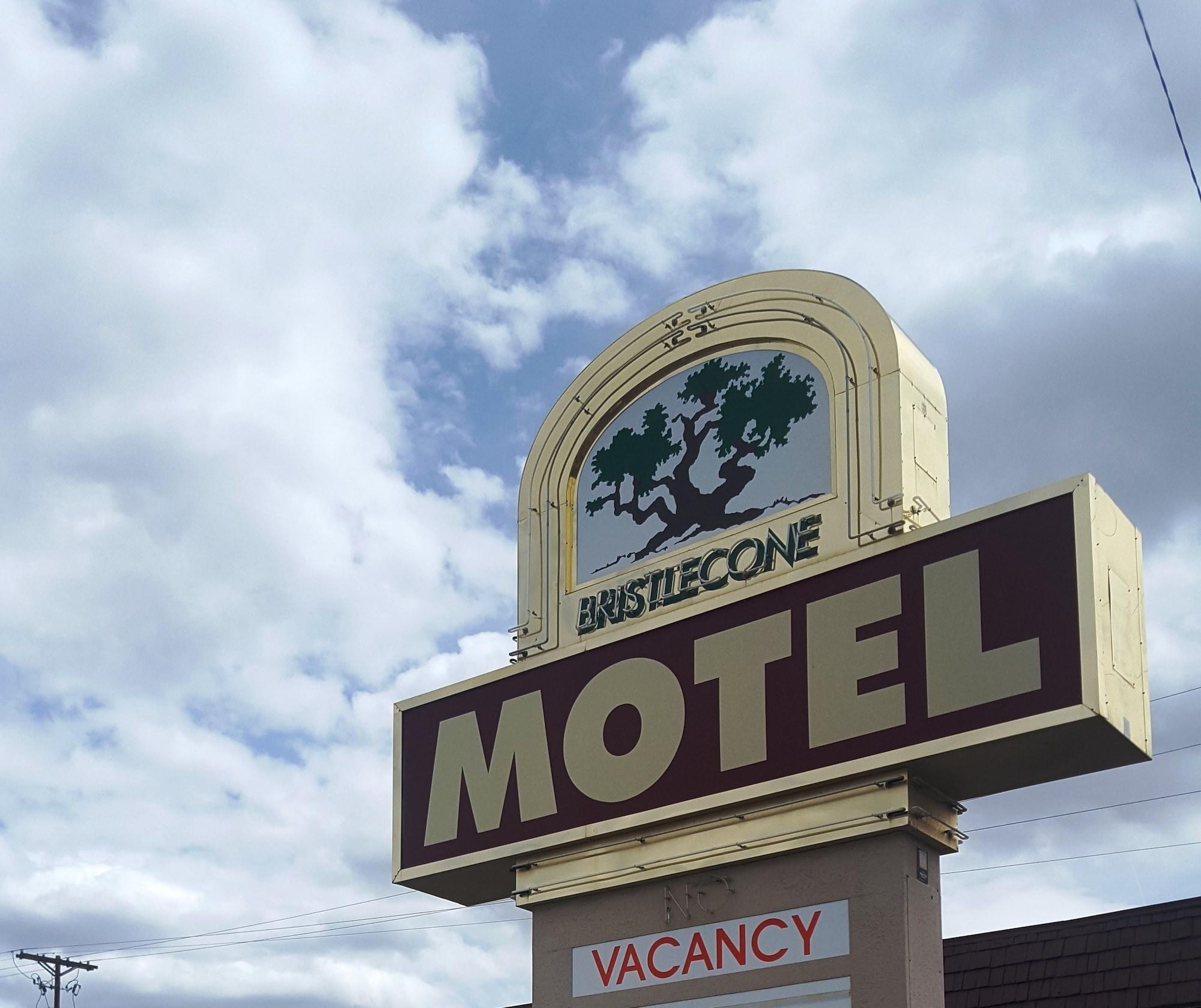 Vista Exterior Bristlecone Motel