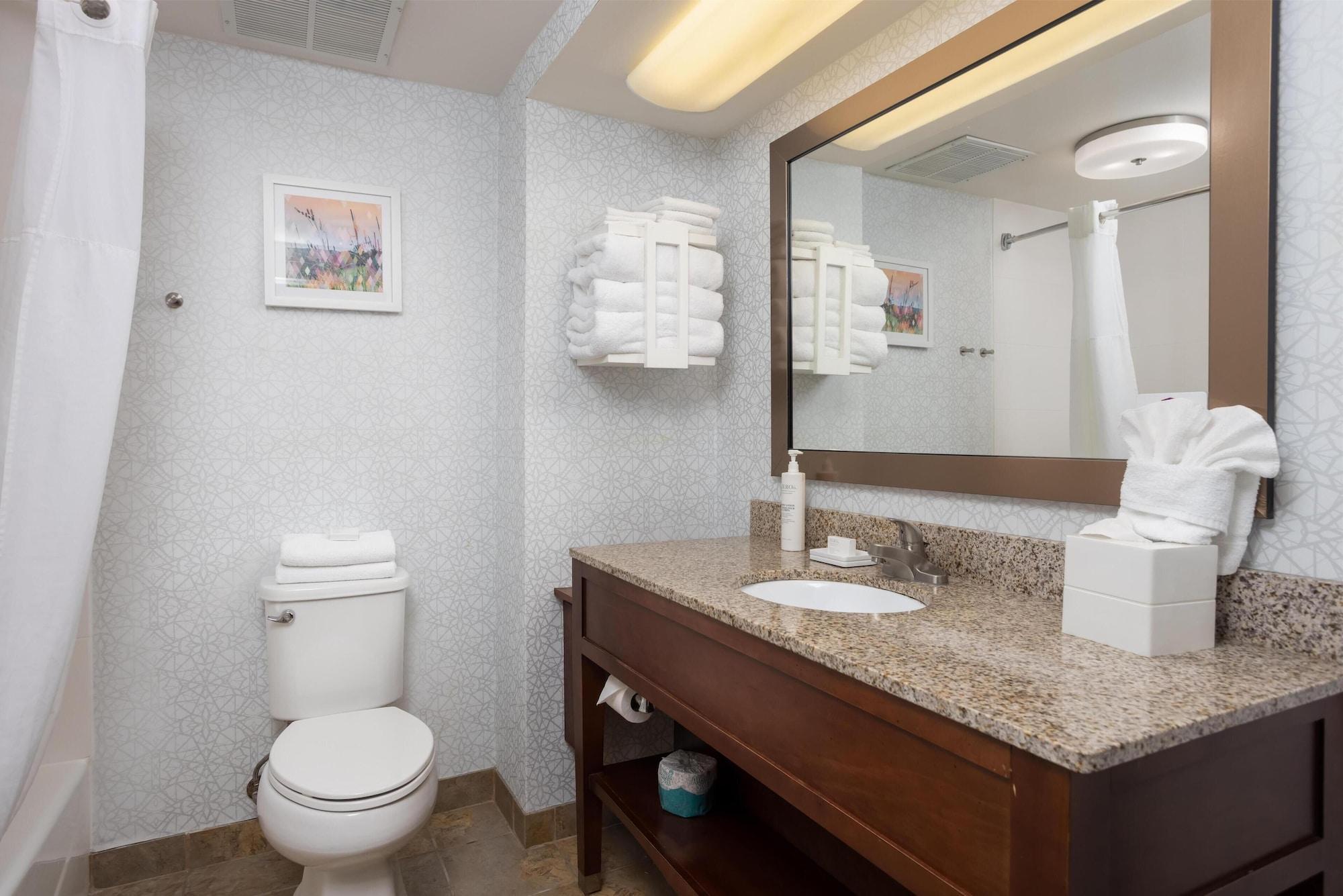 Equipamiento de Habitación Hampton Inn Carrollton