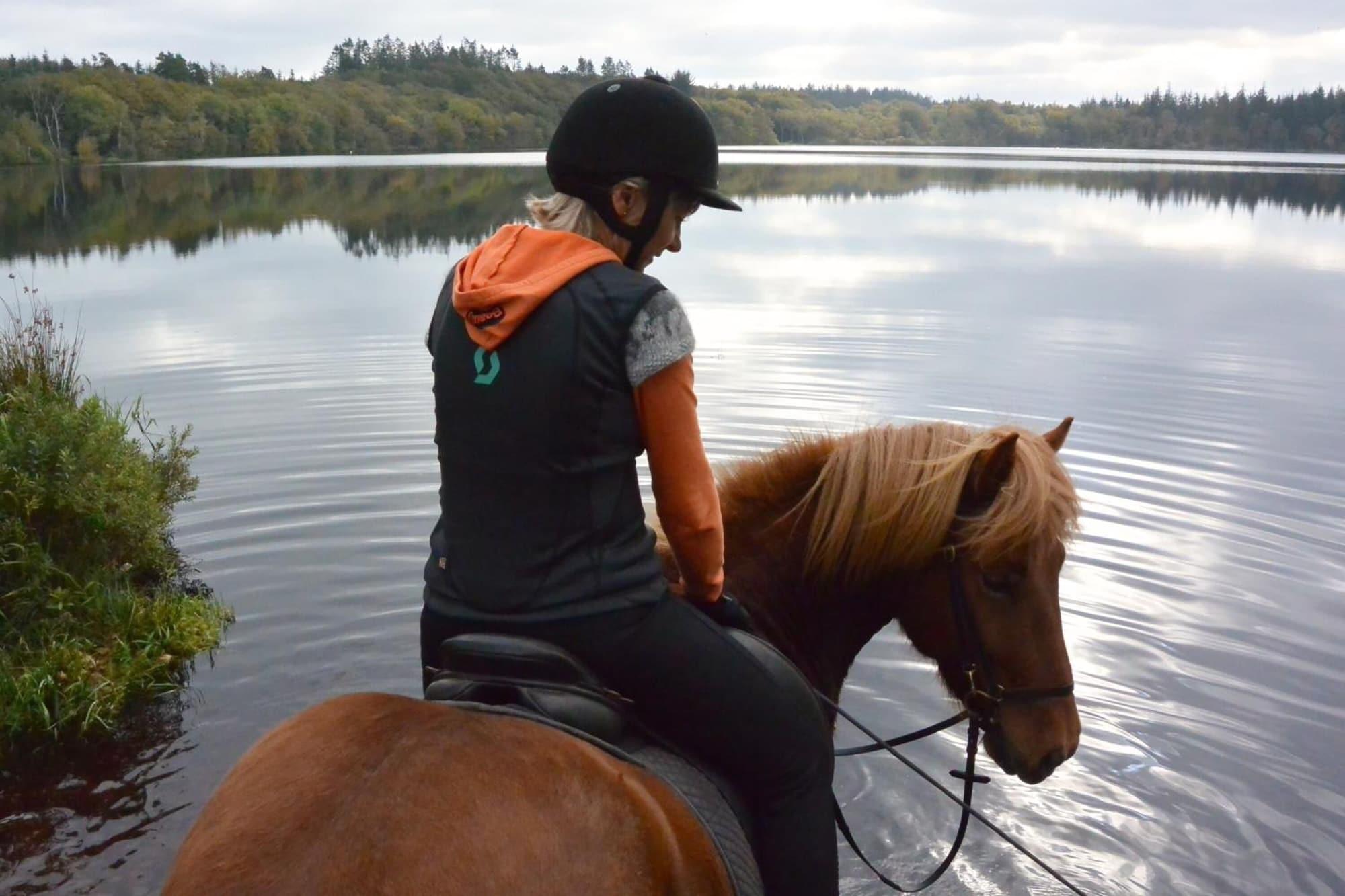 Gimnasio Danhostel Rebild