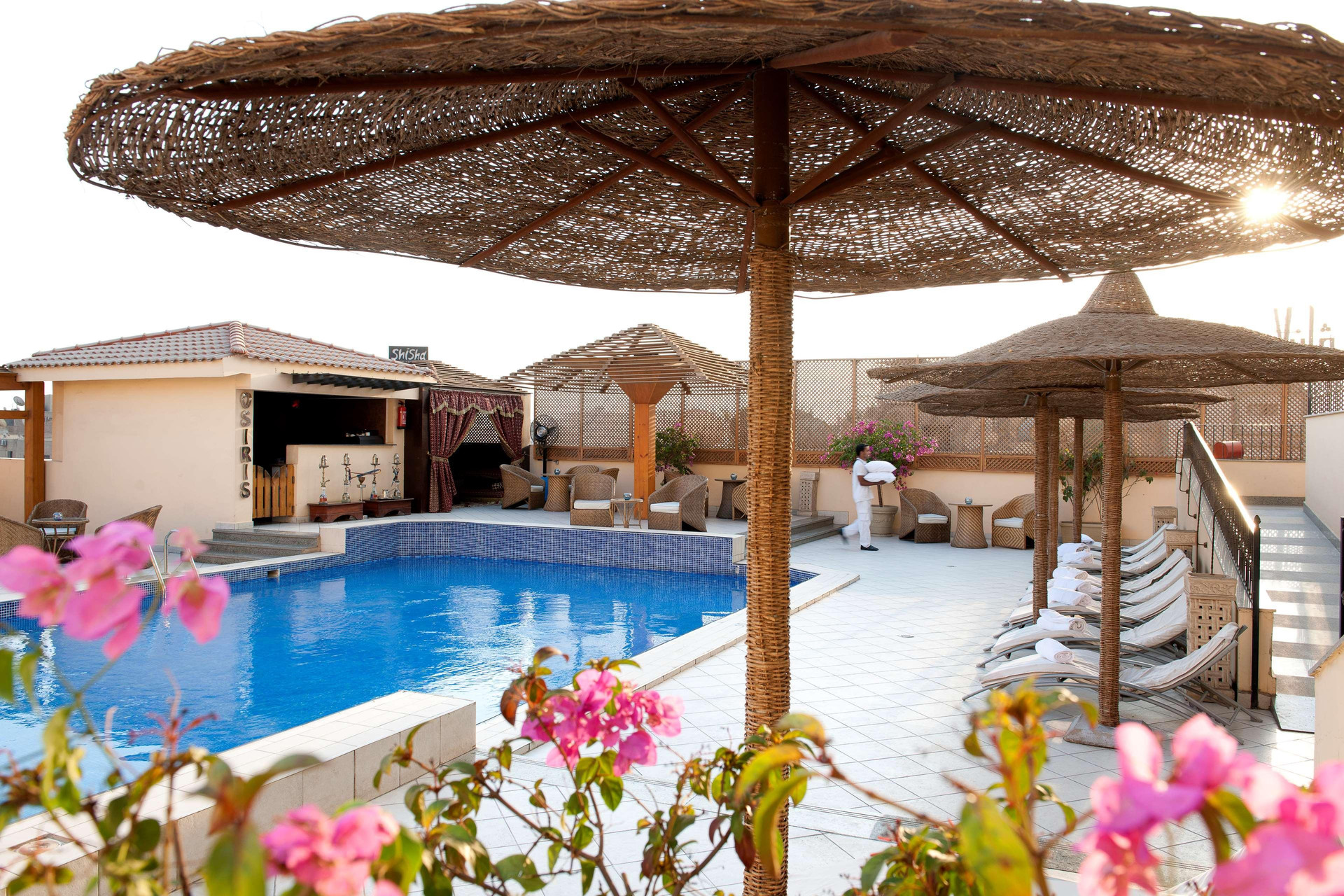 Vista Piscina Barcelo Cairo Pyramids
