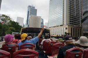 Actividad - Recorrido turístico de 48 horas en autobús Big Bus por Hong Kong con Peak Tram