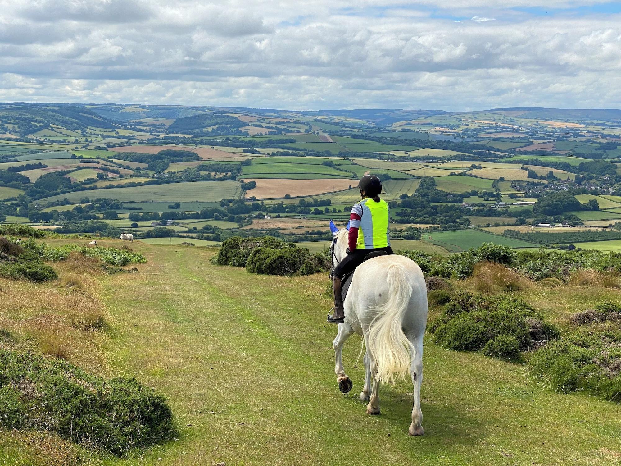 Instalaciones Recreativas Pardlestone Farm: B&B