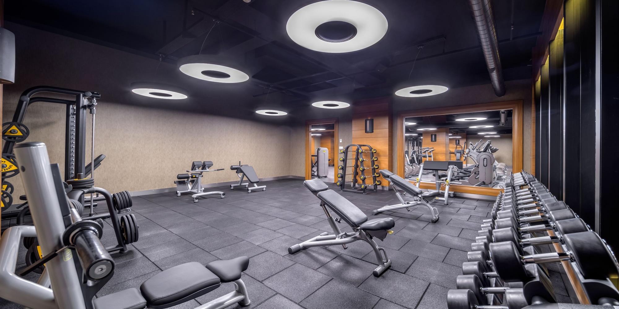 Gimnasio DoubleTree by Hilton Istanbul Topkapi