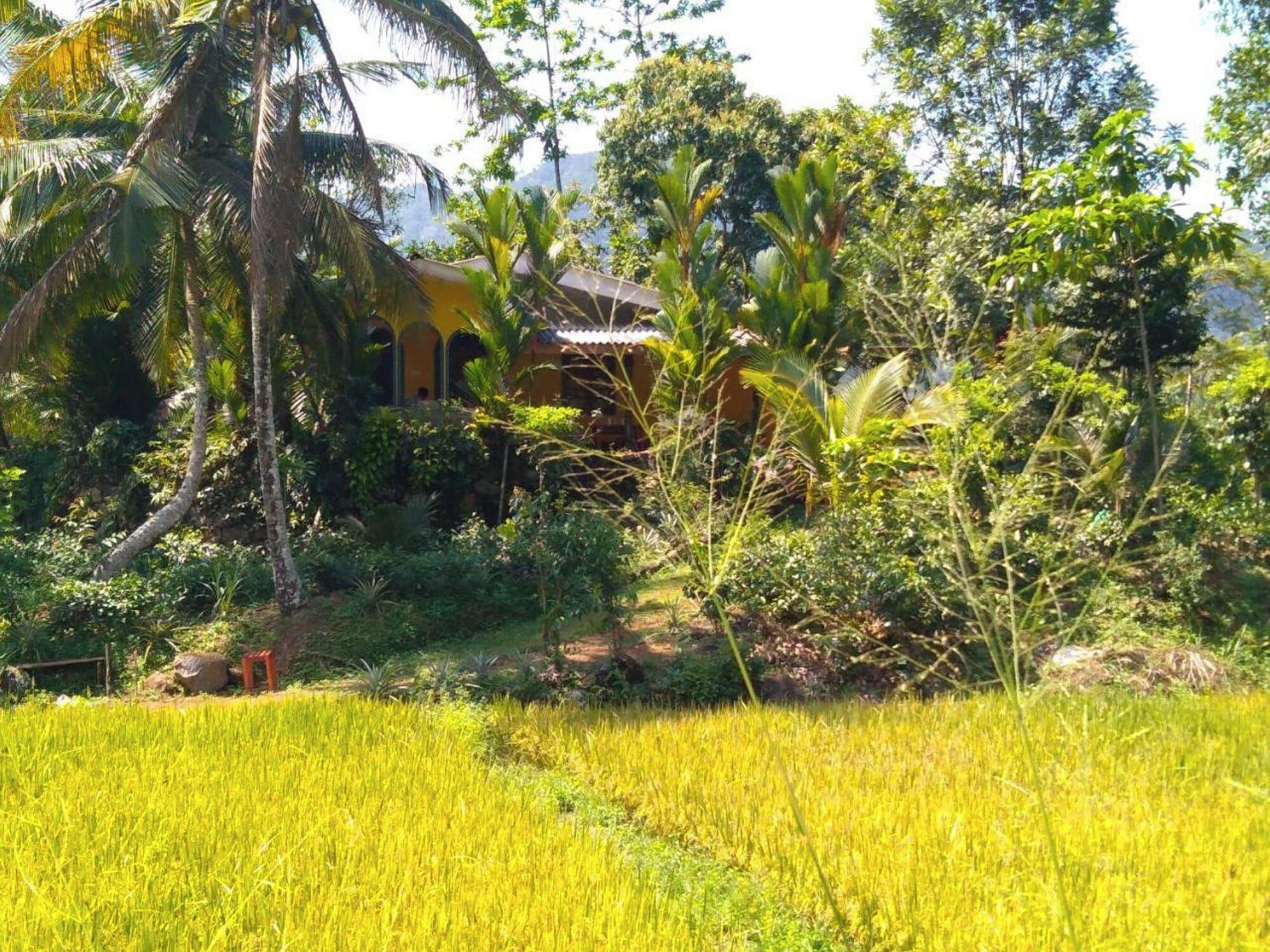 Vista Exterior Sinharaja Serenity Retreat