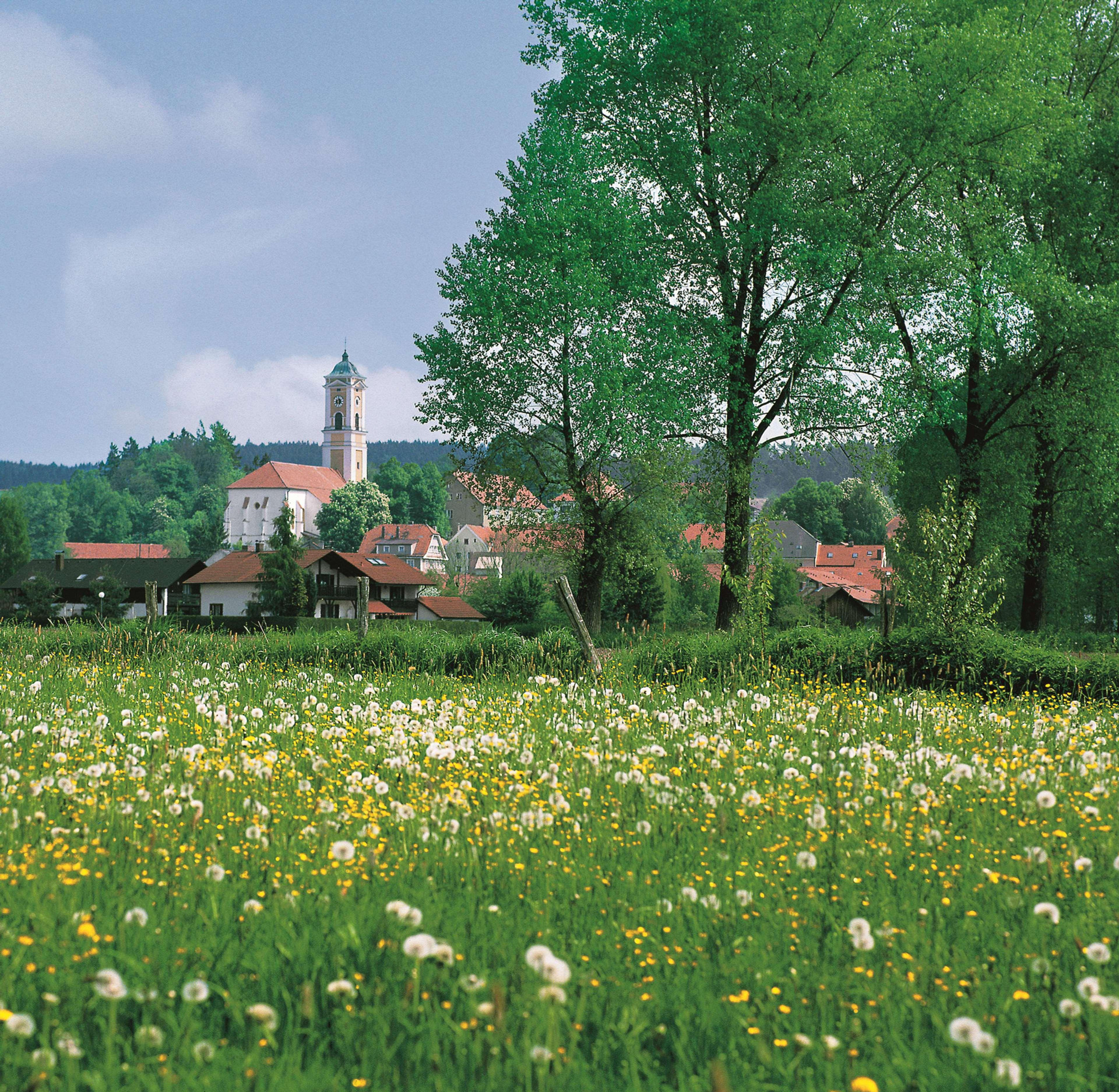 Vista Exterior Best Western Aparthotel Birnbachhoehe
