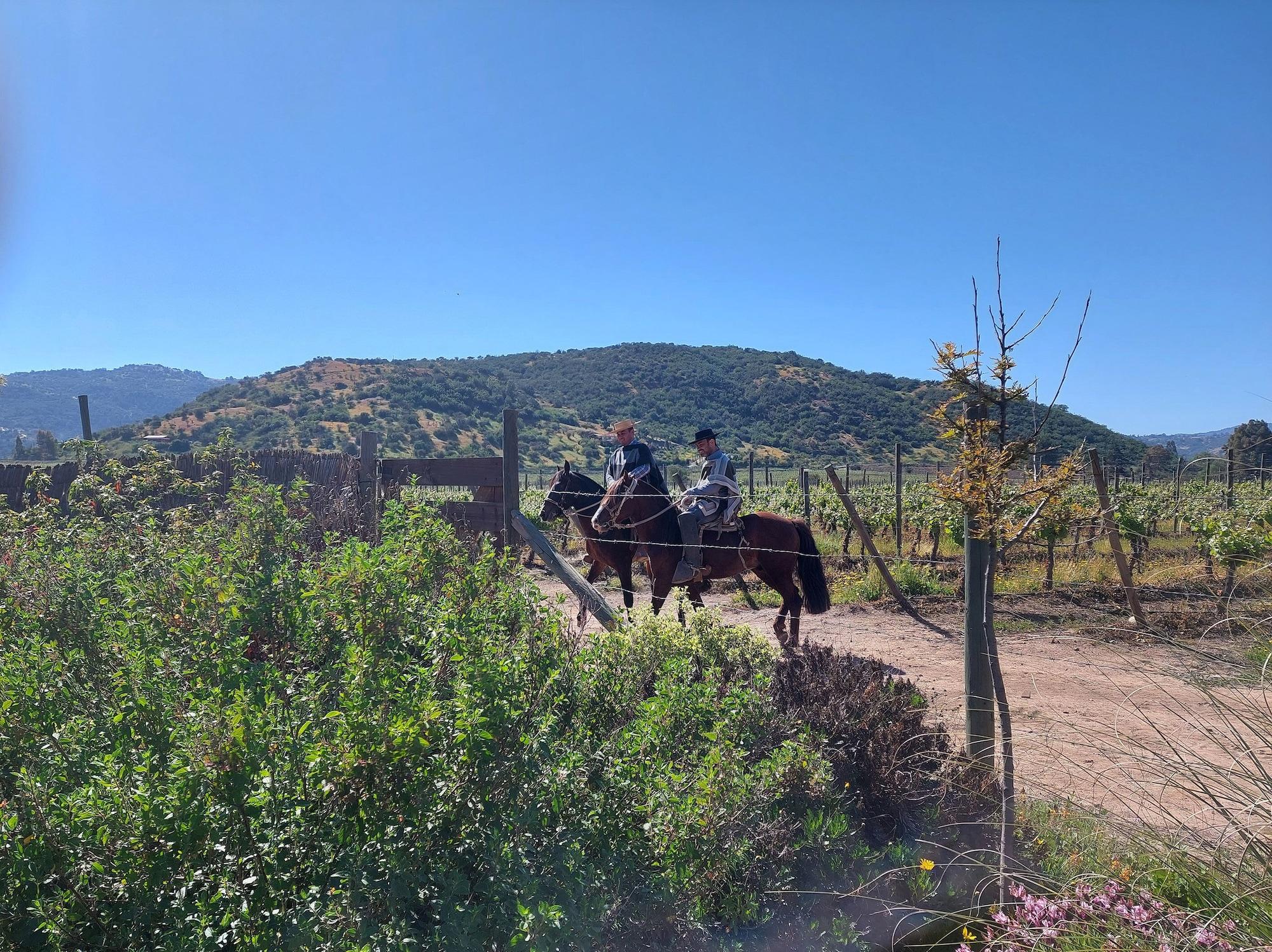 Instalaciones Recreativas Callihue de Colchagua Lodge