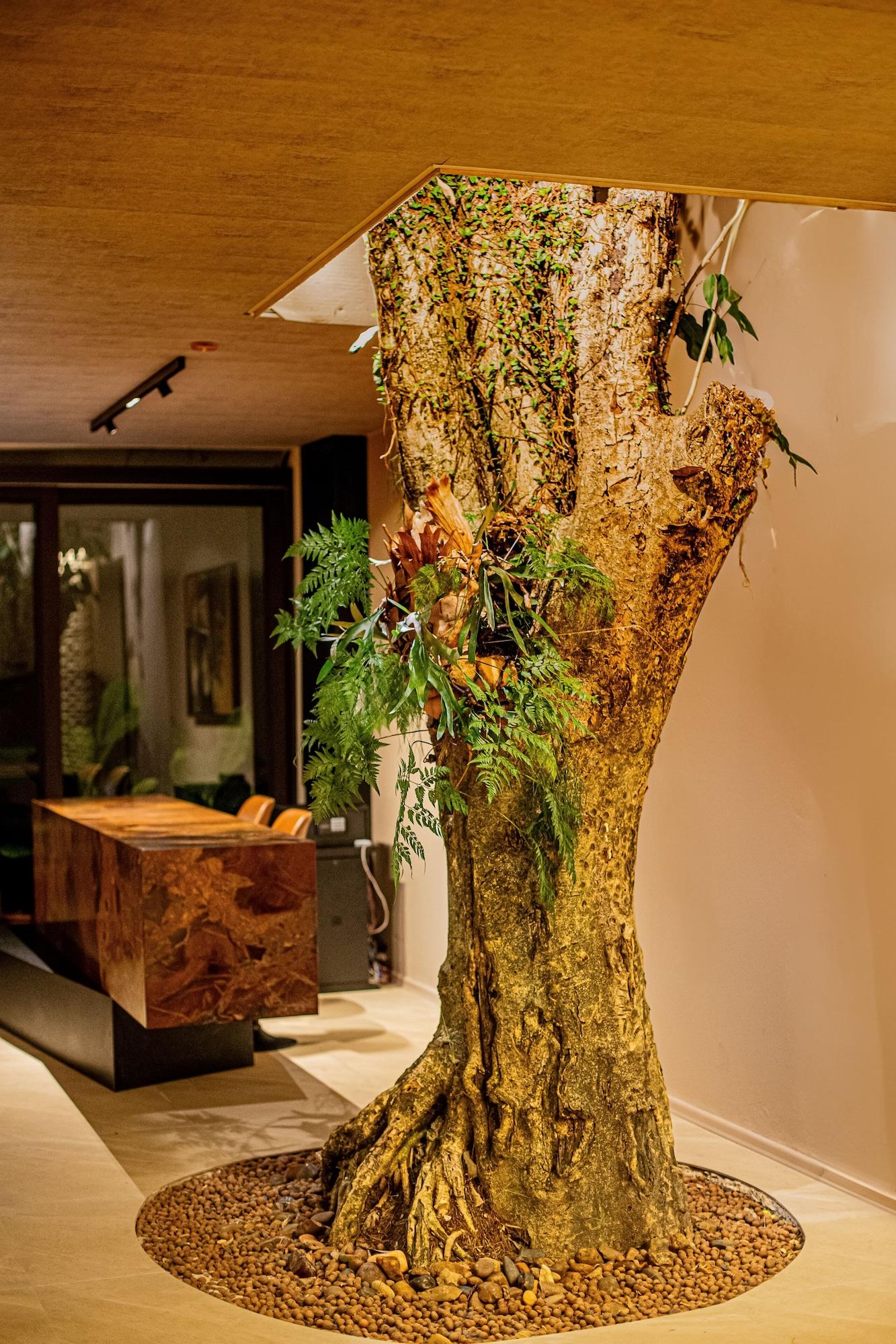 Vista Lobby Pousada Yamandu