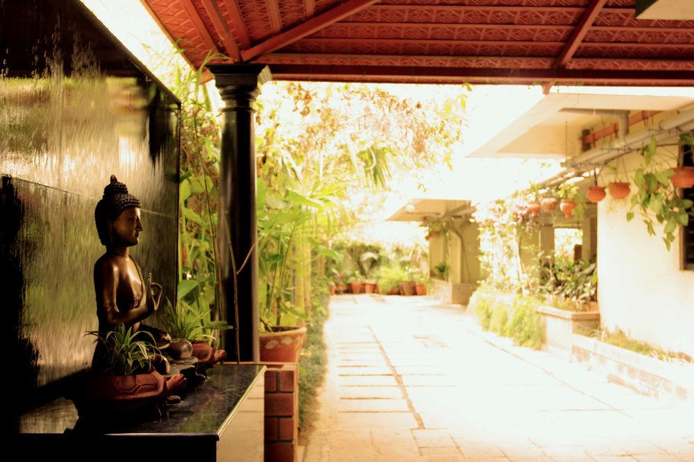 Comodidades del Alojamiento The Green Path Eco