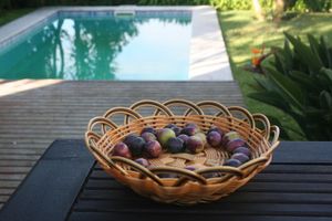 Alquiler Vacacional - HOMEinLAND of Terroso (Póvoa de Varzim) | Villa with Pool, Grill & Seaview