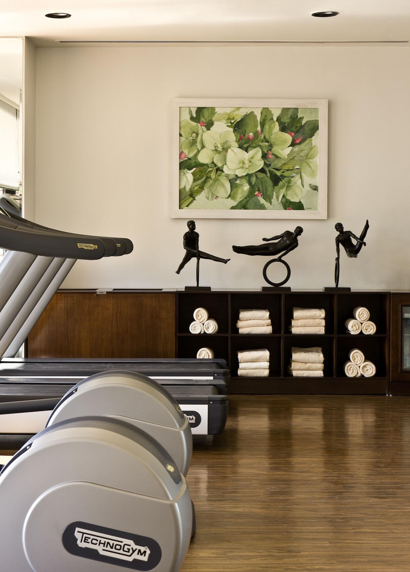 Gimnasio Sofitel Cairo Nile El Gezirah