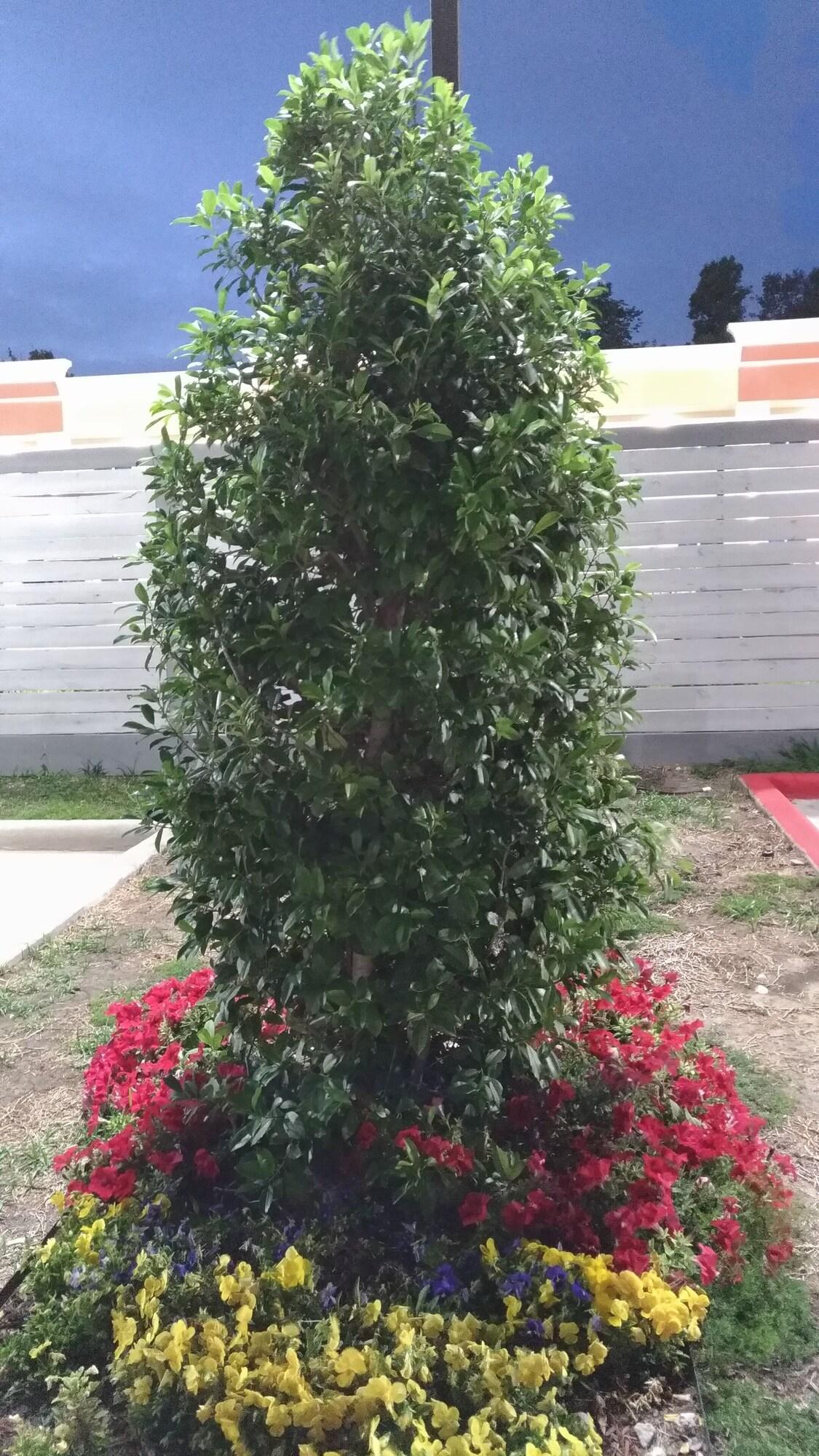 Varios Haven Inn & Suites Downtown Houston