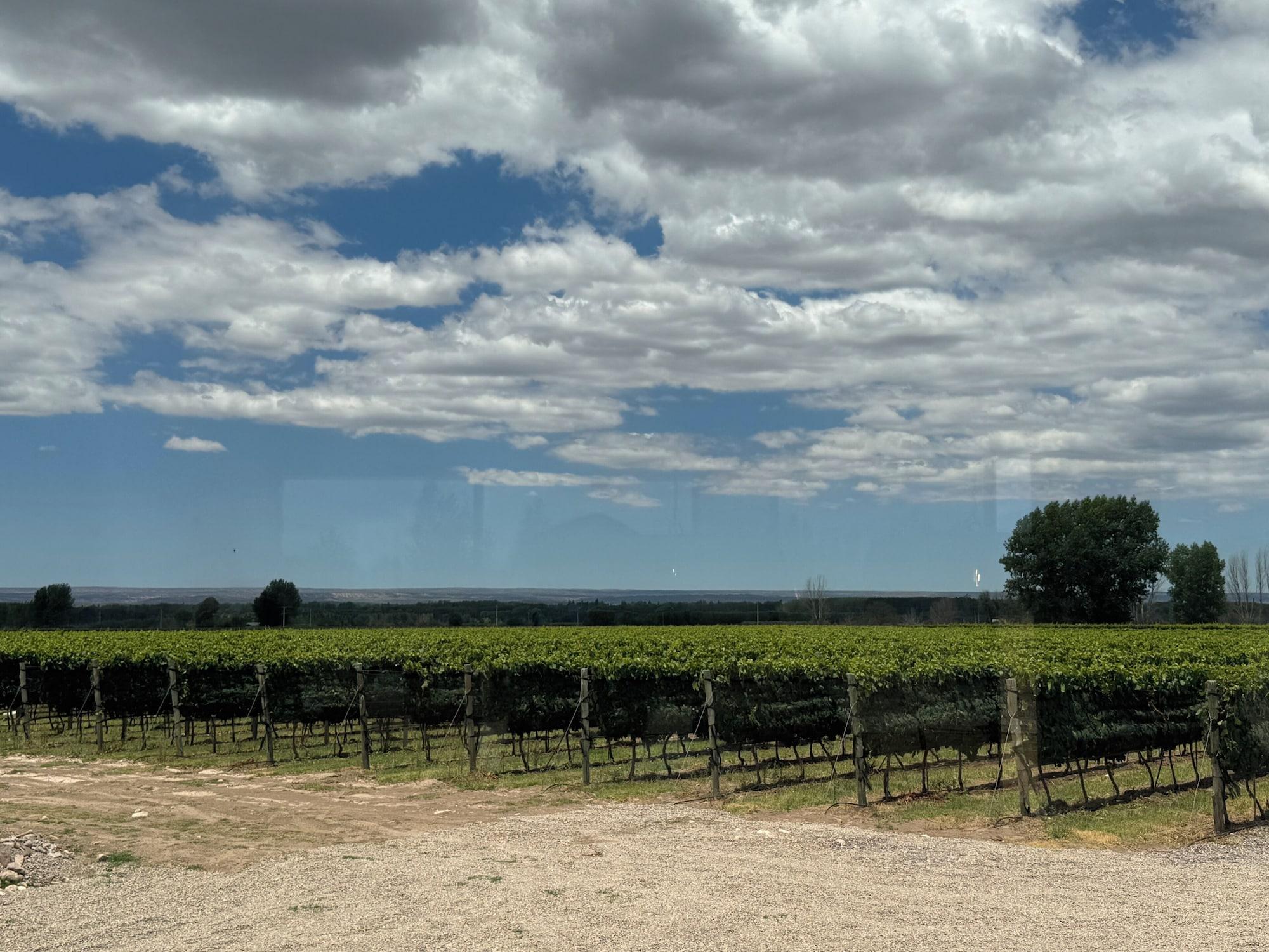 Varios Finca Boutique Un Buen Año