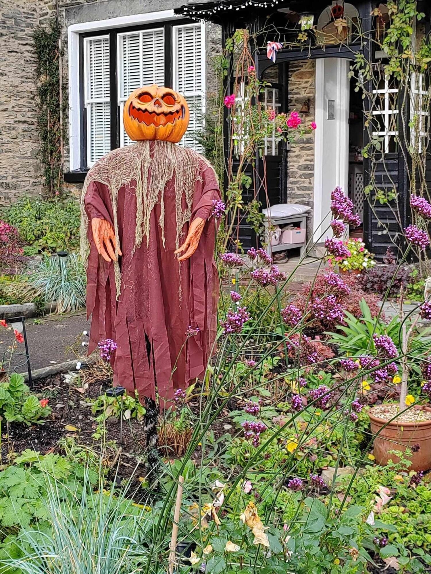 Vista Exterior Puddle Duck Lodge