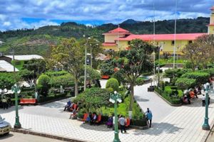 Actividad - Combo 3 dias City Tour + Pozuzo + Catarata RioTigre