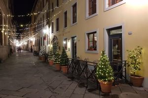 Alojamiento - San Luca Palace Hotel