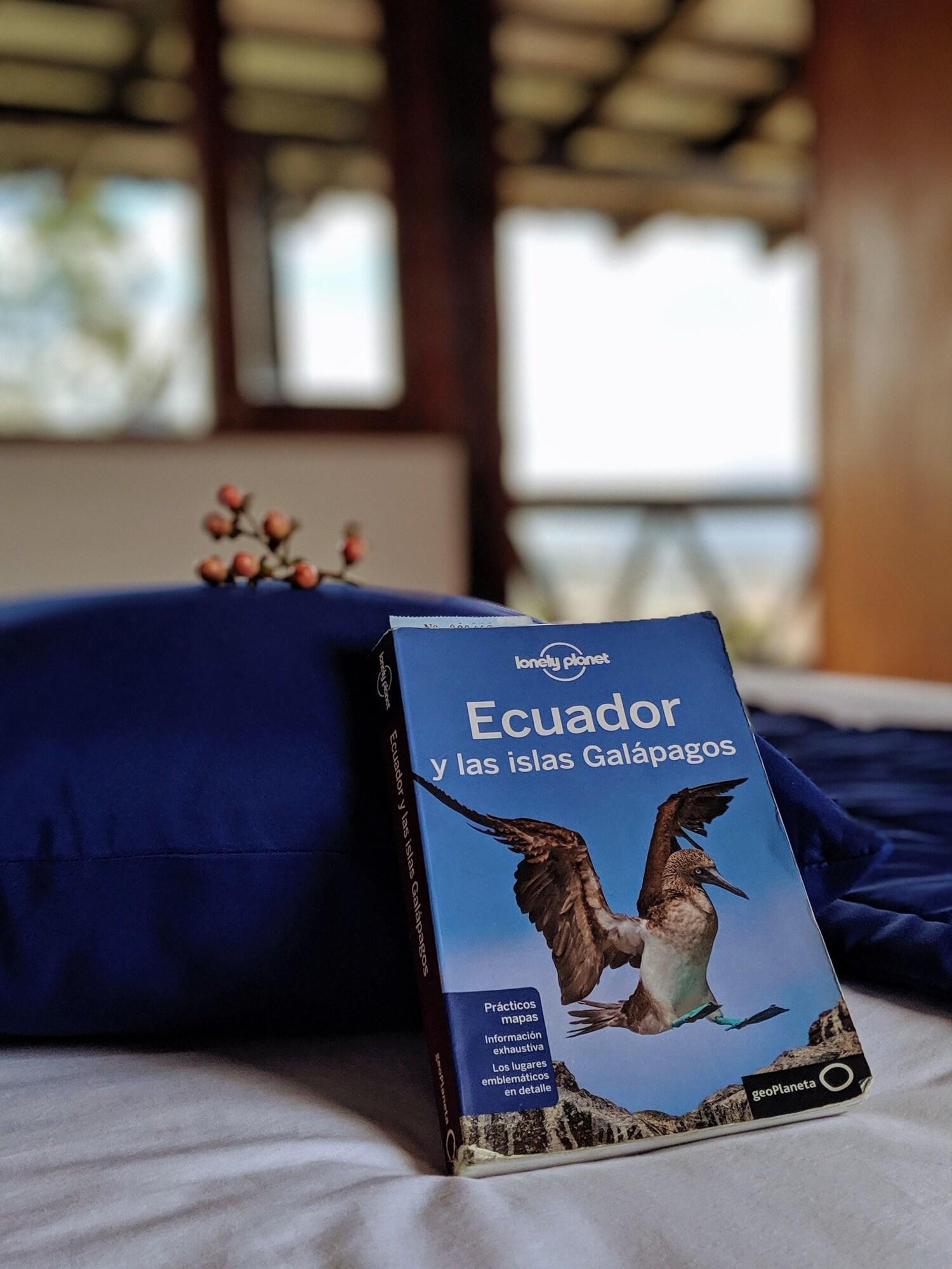 Habitación Hostal Venus de Valdivia