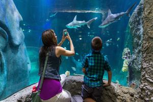 Actividad - Go City - Orlando Explorer Pass - Acceso a hasta 5 atracciones