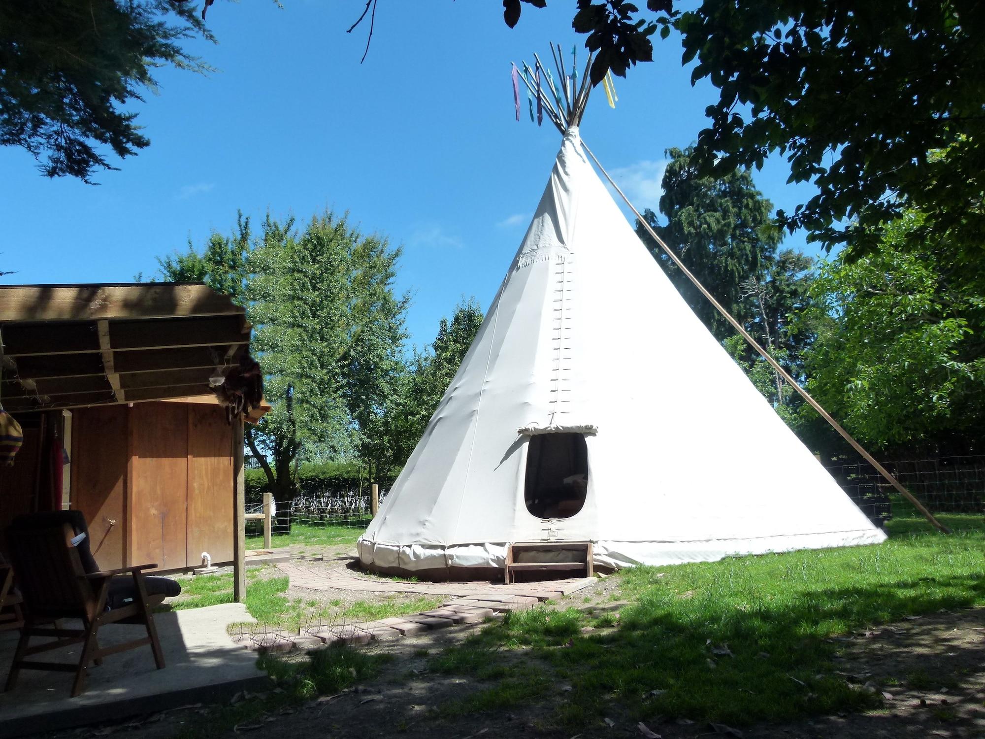 Habitación Wacky Stays