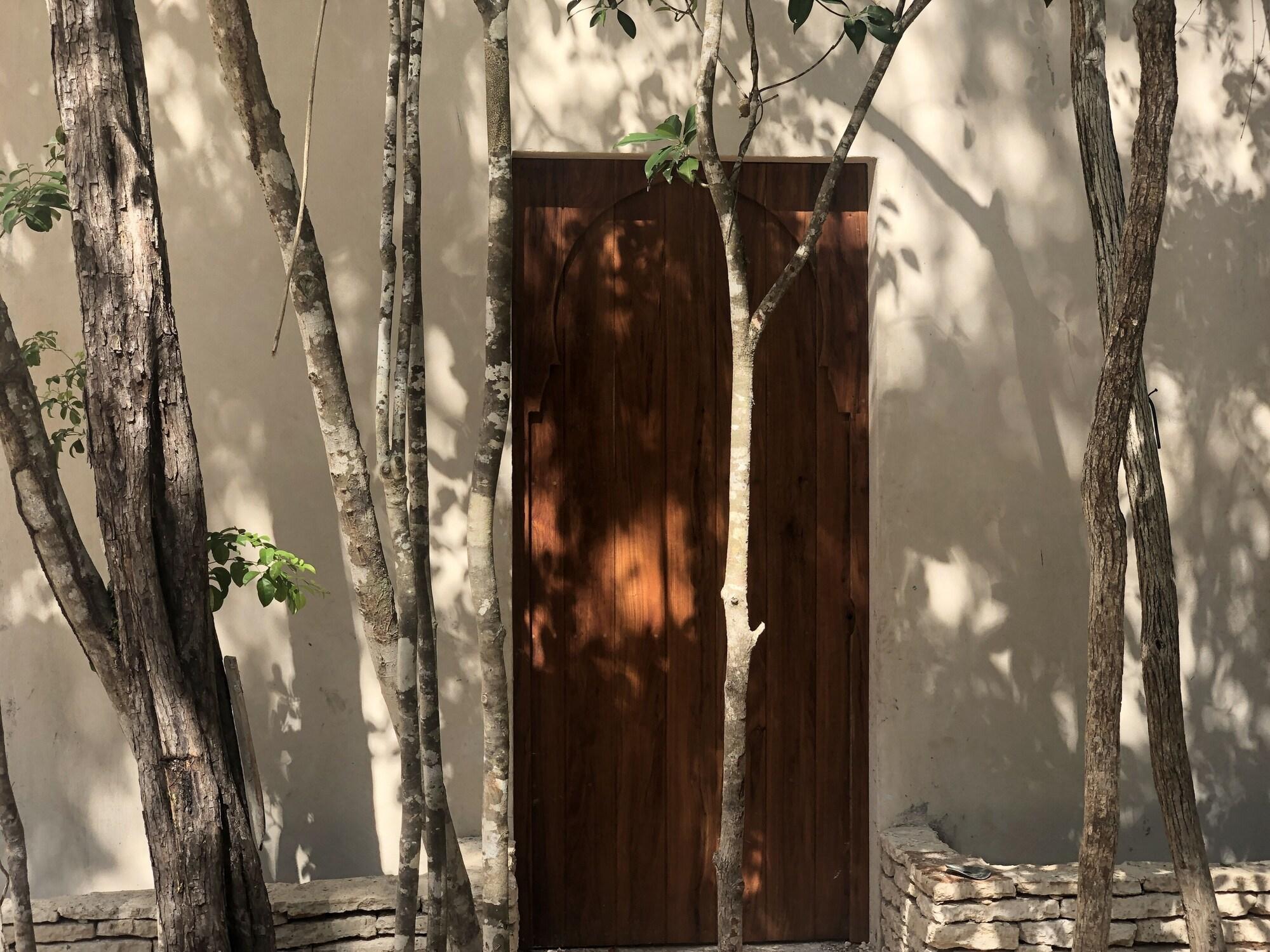 Vista Exterior Ambre & Epices Jungle Hotel & Spa