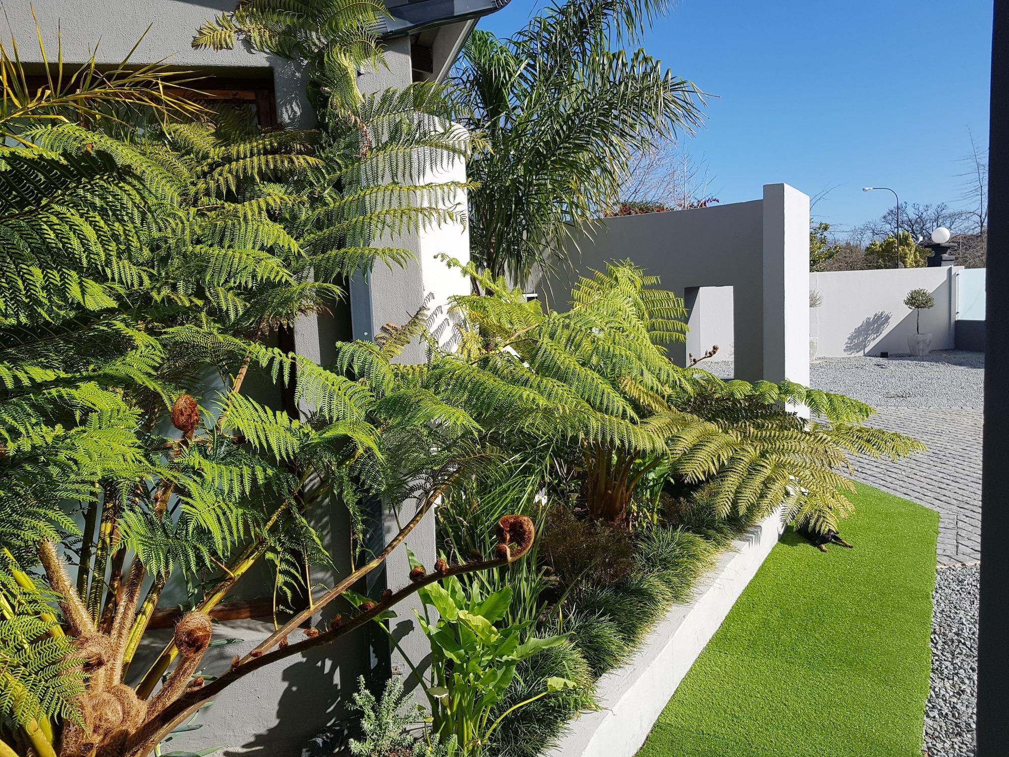 Varios Two Fat Owls Guesthouse