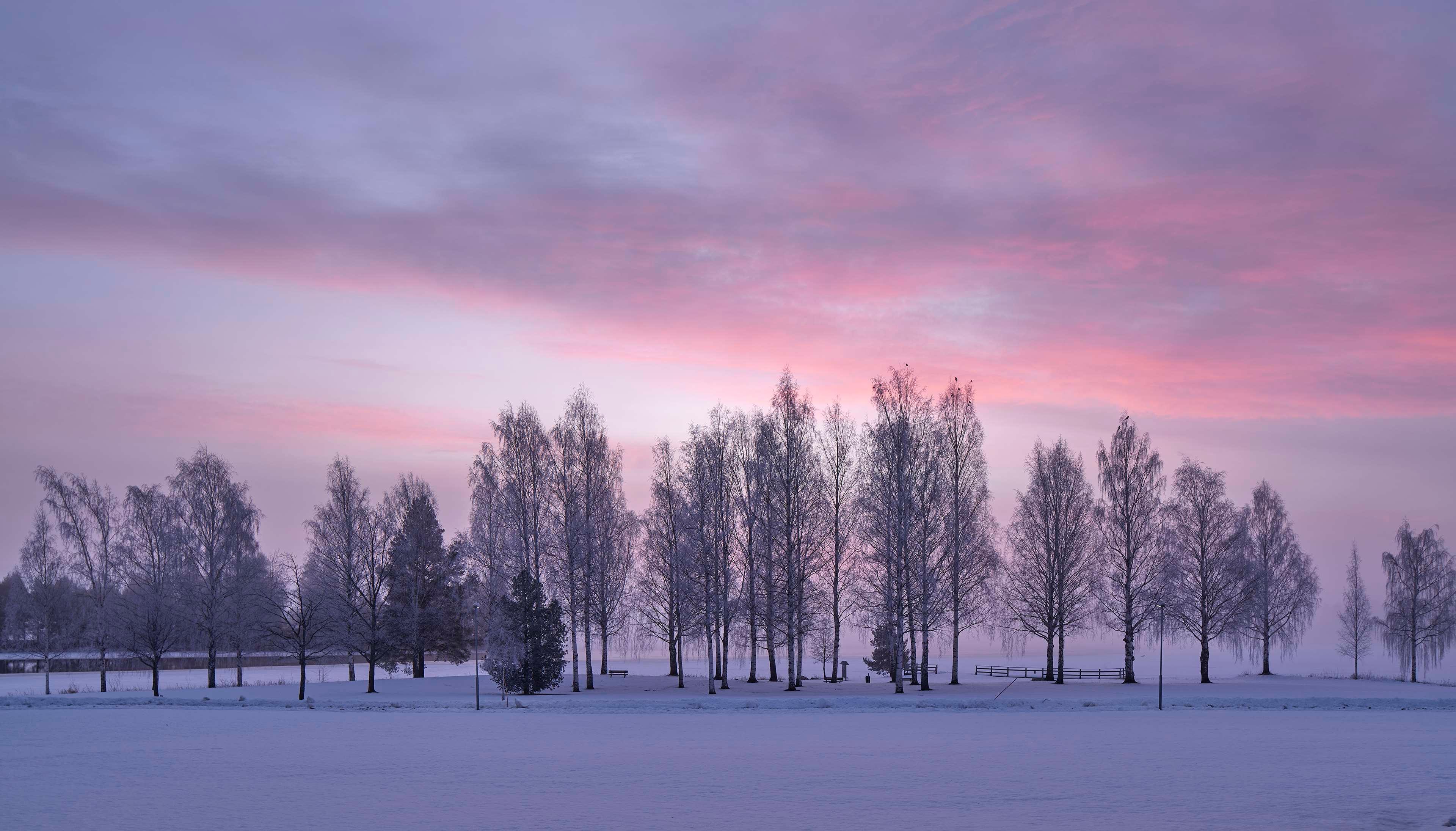 Vista Exterior Scandic Bollnäs