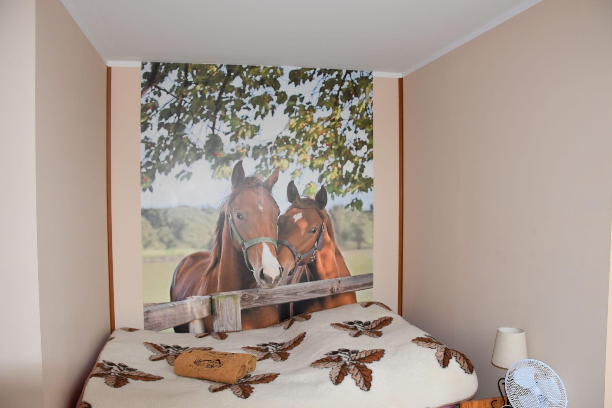 Habitación Agroturystyka u przyjaciol Soni