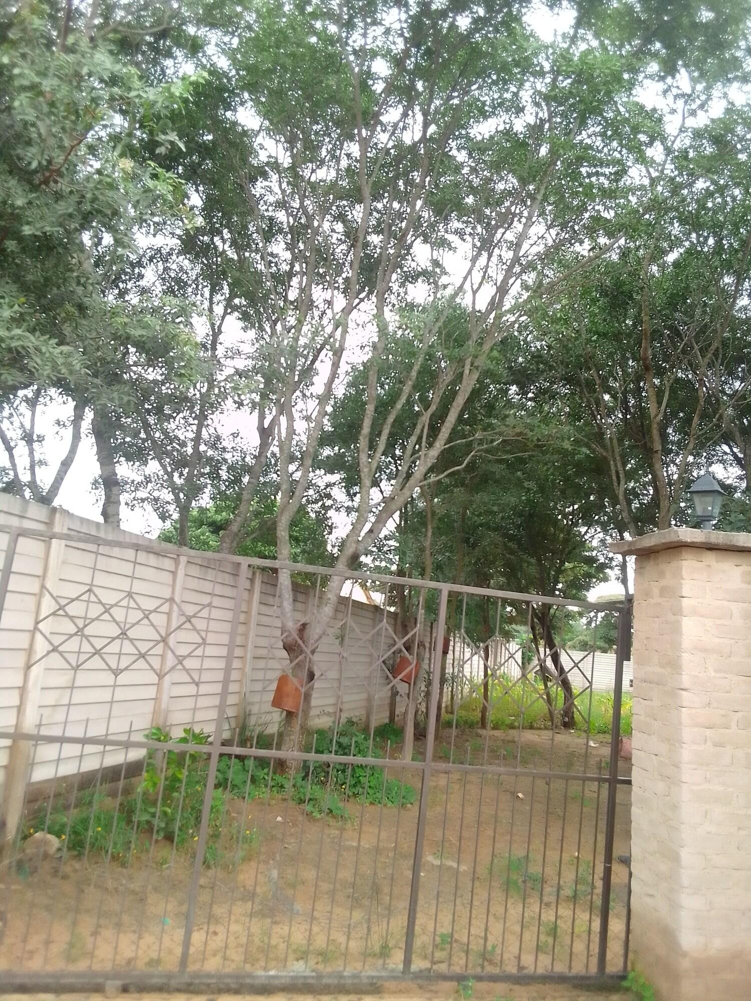 Vista Exterior Garden Guest House Bed & Bre Chitungwiza