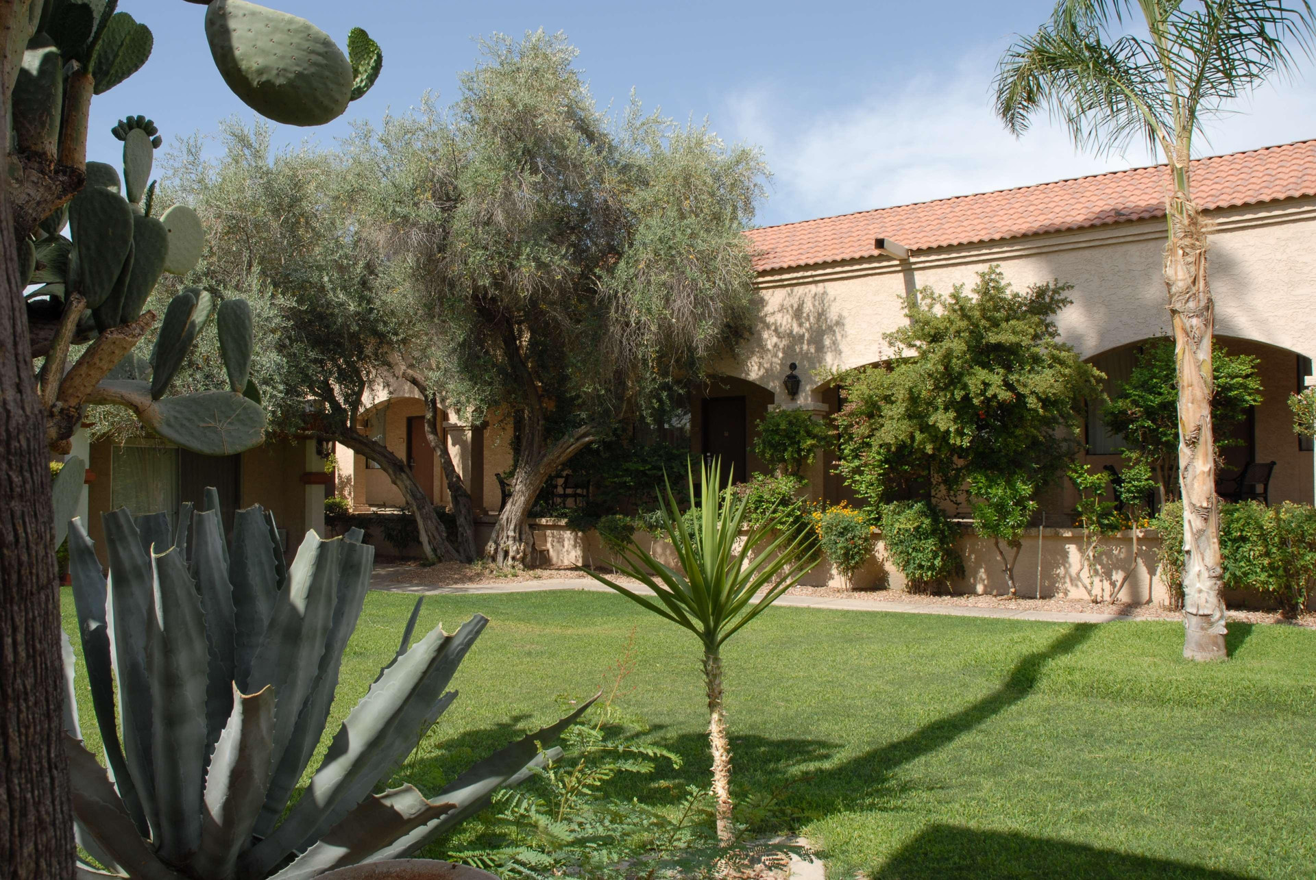 Vista Exterior Best Western Phoenix Goodyear Inn