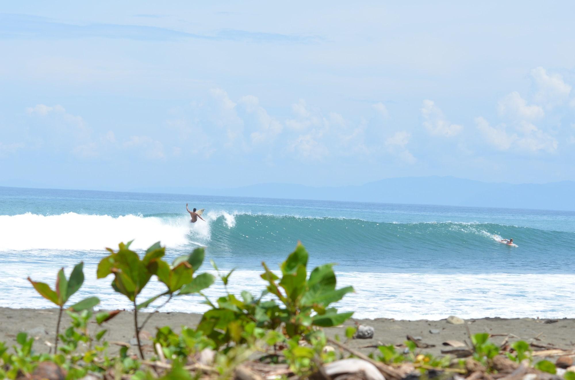 Playa Tiskita Jungle Lodge
