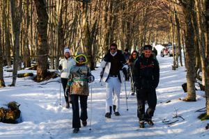 Actividad - Trekking Nocturno a Laguna Esmeralda + Refugio