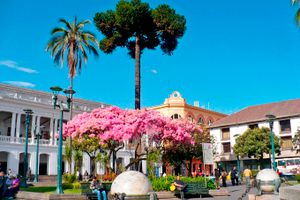 Vuelo - Vuelos a Quito