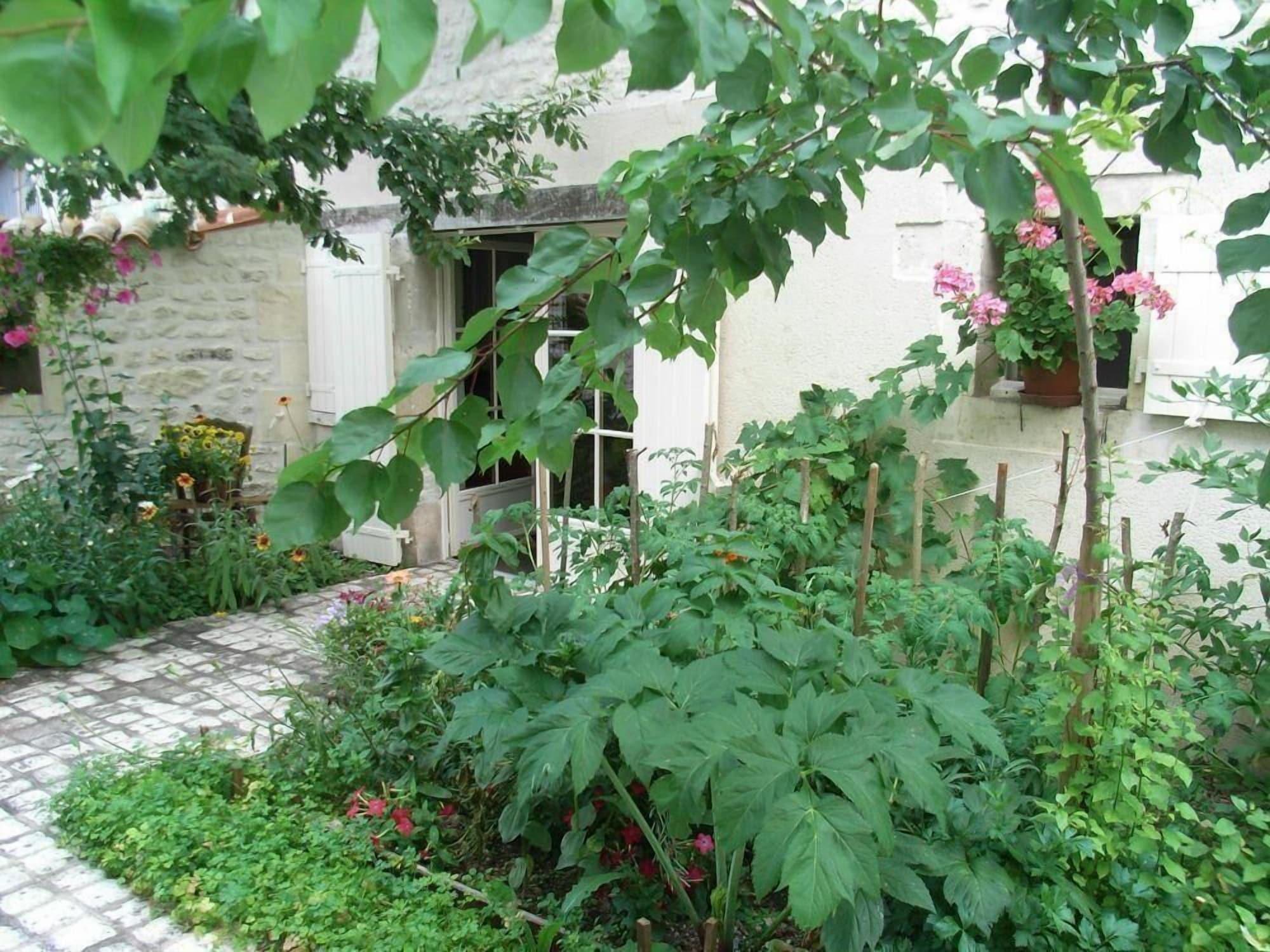 Comodidades del Alojamiento La Fleur de Vigne - Maison D'Hotes